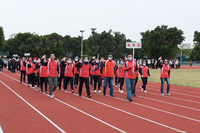 P01-PU-06129.jpg