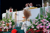 P01-PU-05499.jpg