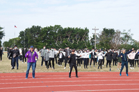 P01-PU-06197.jpg