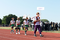P01-PU-06365.jpg