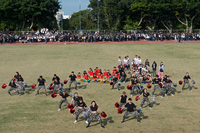 P01-PU-05894.jpg