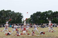 P01-PU-06126.jpg
