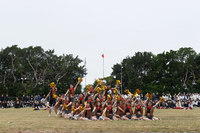 P01-PU-06199.jpg