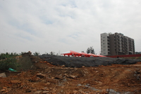 P01-PU-06517.JPG