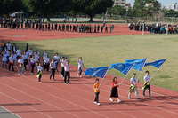 P01-PU-05893.jpg