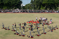 P01-PU-05916.jpg