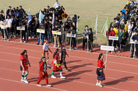 P01-PU-05912.jpg