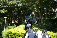 P01-PU-07218.jpg