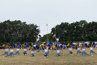 P01-PU-06181.jpg