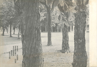 M01-009-002