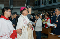 P01-PU-05998.jpg