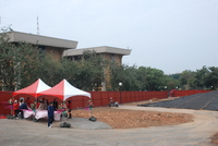 P01-PU-06523.JPG