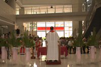 P01-PU-06498.jpg