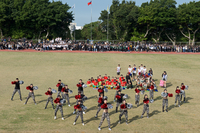 P01-PU-05905.jpg