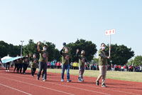 P01-PU-06335.jpg
