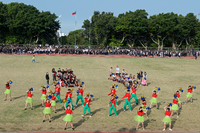 P01-PU-05883.jpg