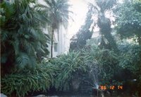 P01-PC-00965.jpg