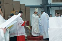 P01-PU-05990.jpg