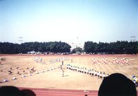 P01-PU-02200.jpg