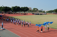 P01-PU-05895.jpg
