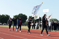 P01-PU-06363.jpg