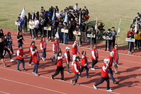 P01-PU-05911.jpg