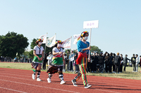 P01-PU-06364.jpg