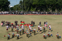 P01-PU-05932.jpg