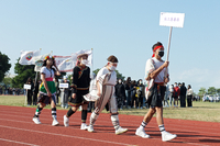 P01-PU-06366.jpg