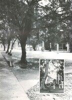 M01-016-011