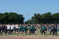 P01-PU-05925.jpg