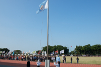 P01-PU-05920.jpg