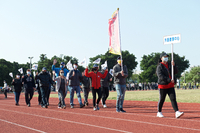 P01-PU-06357.jpg